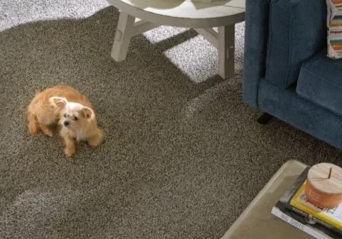 Pet friendly carpet